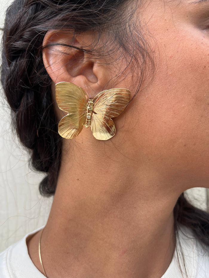 Océanne - Papillon Butterfly Studs