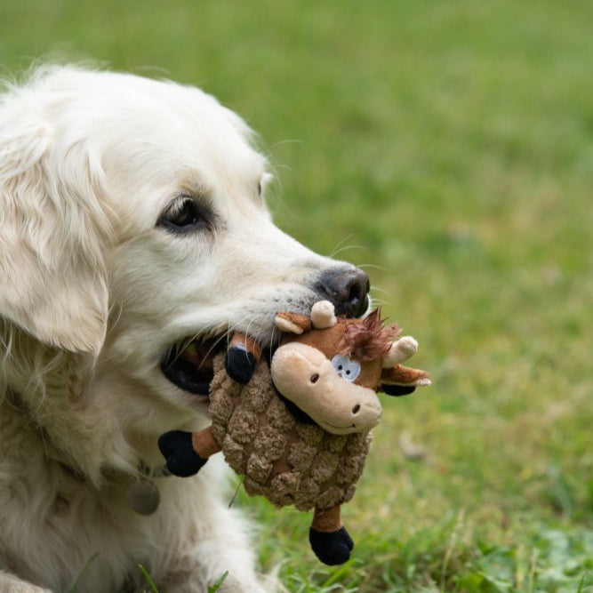 PetFace Chunky Cow Plush Toy - DOGHOUSE