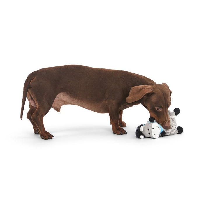 PetFace Dumpy Donkey Plush Dog Toy