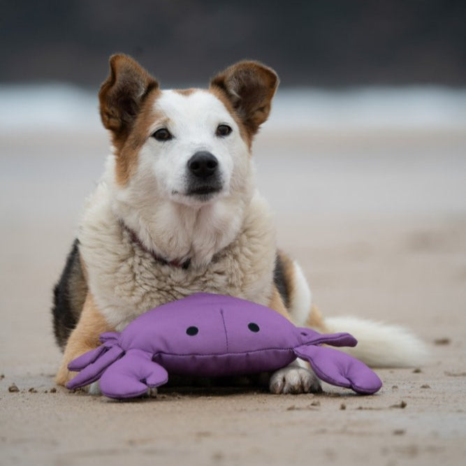 PetFace Planet OceanCycle Callum Crab Dog Toy