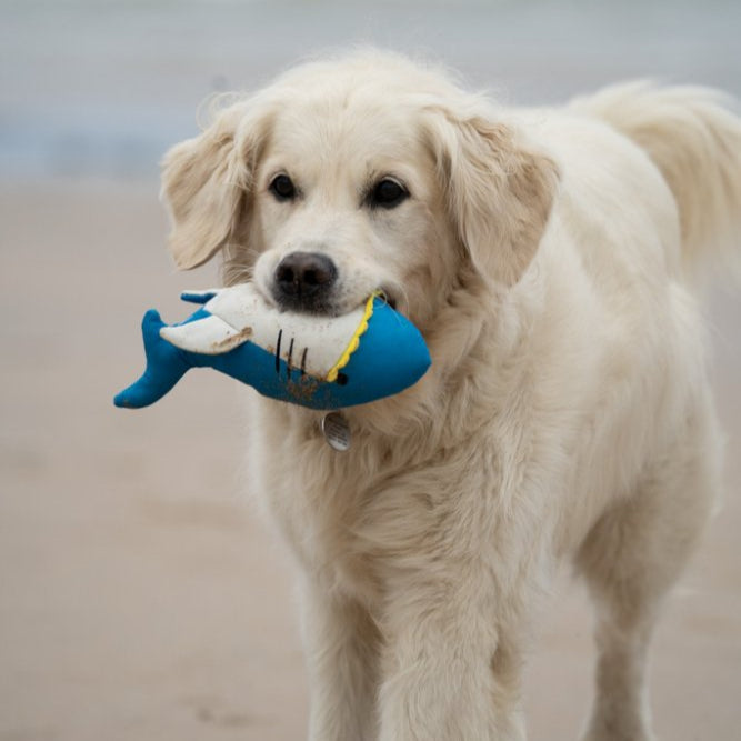 PetFace Planet OceanCycle Salina Shark Dog Toy