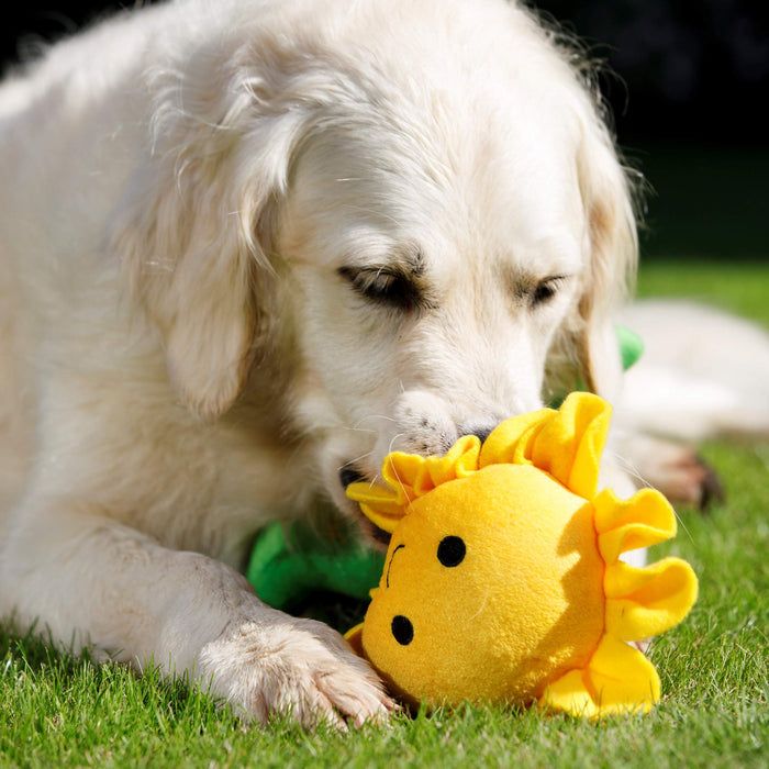 PetFace Sasha Sunflower Plush Toy