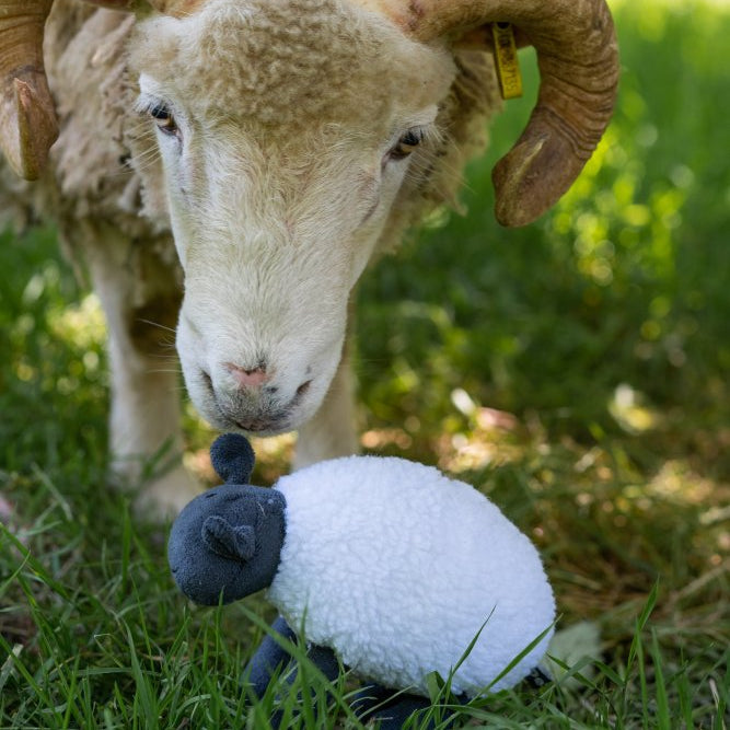 PetFace Stanley Sheep Plush Toy