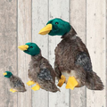 Plush Duck Dog Toy with Fur Tail