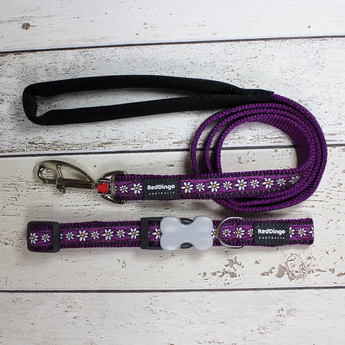 Purple Daisy Dog Lead by Red Dingo - DOGHOUSE