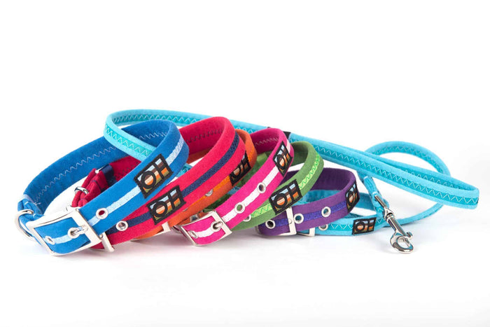 Oscar and Hooch Dog Lead - Doghouse
