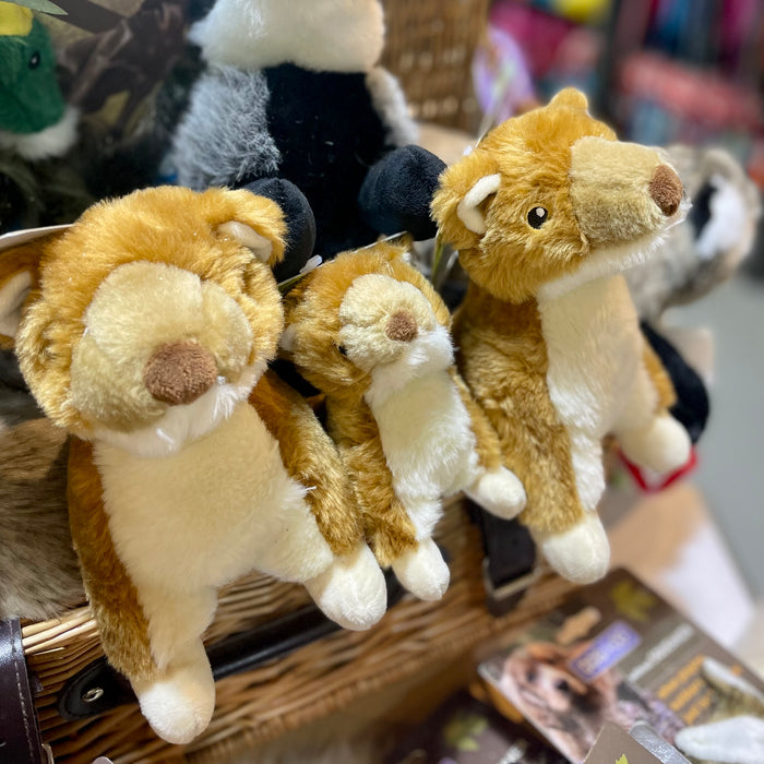 Sally the Stoat Dog Toy - DOGHOUSE
