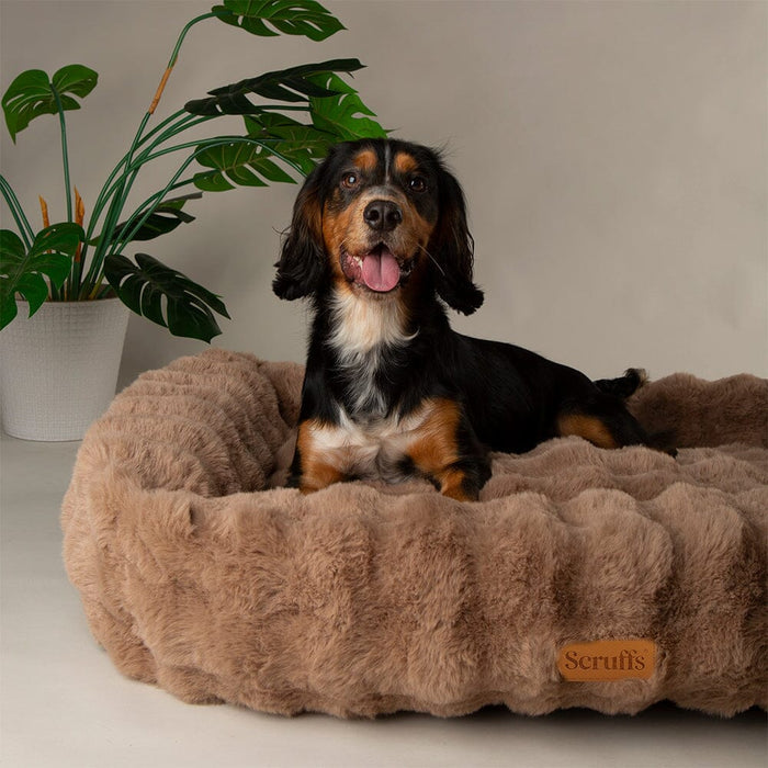 Scruffs Alpine Box Bed for Dogs - DOGHOUSE