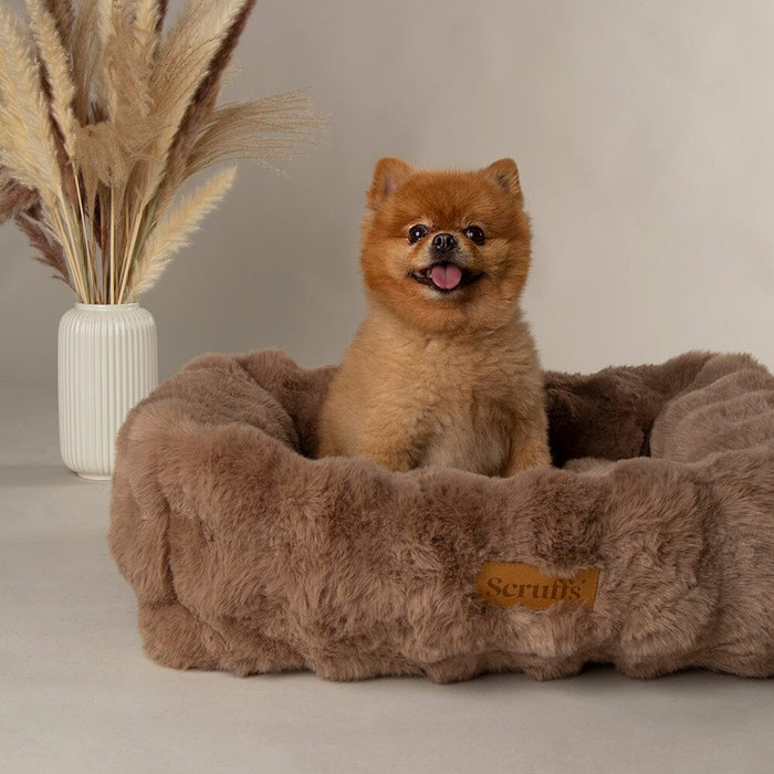 Scruffs Alpine Box Bed for Dogs - DOGHOUSE
