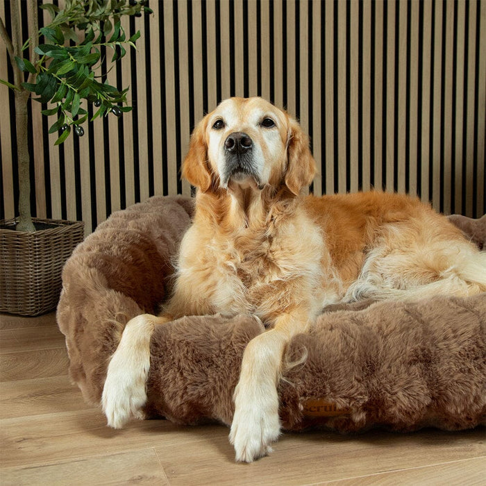 Scruffs Alpine Box Bed for Dogs - DOGHOUSE