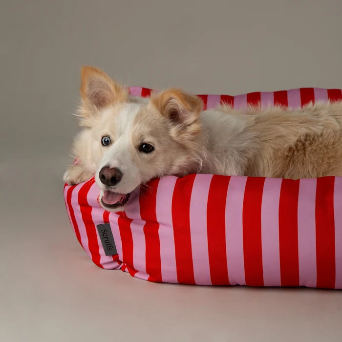 Scruffs Amalfi Stripe Dog Bed