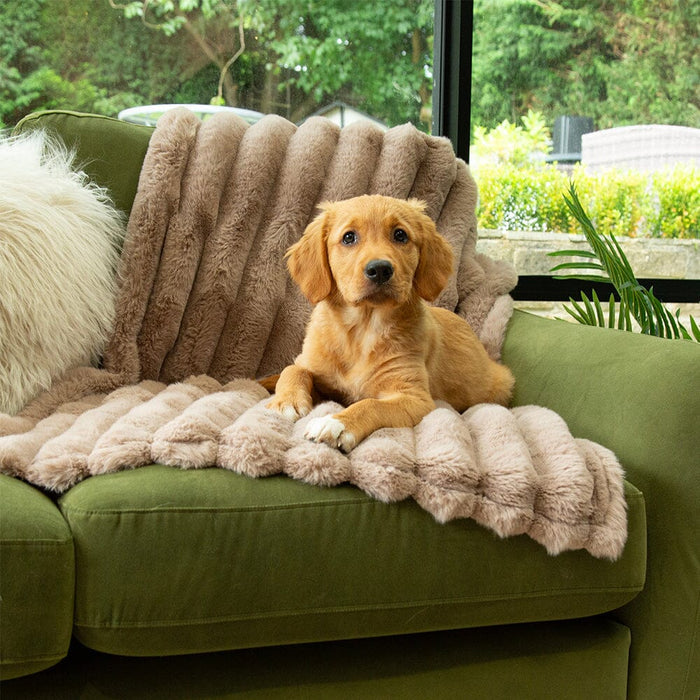 Scruffs Aspen Pet Blanket - DOGHOUSE