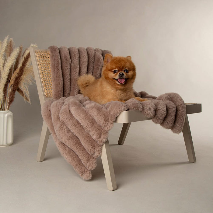 Scruffs Aspen Pet Blanket - DOGHOUSE