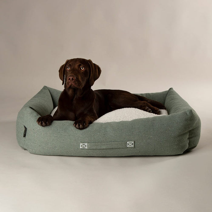 Scruffs Eco Eden Box Bed for Dogs