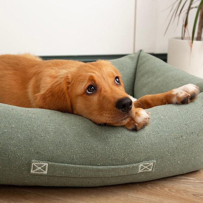 Scruffs Eco Eden Box Bed for Dogs