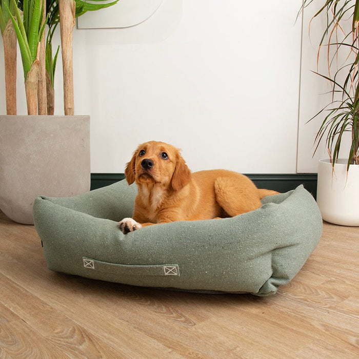 Scruffs Eco Eden Box Bed for Dogs