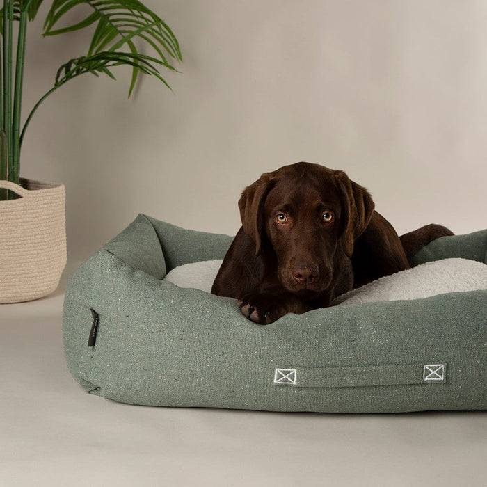 Scruffs Eco Eden Box Bed for Dogs