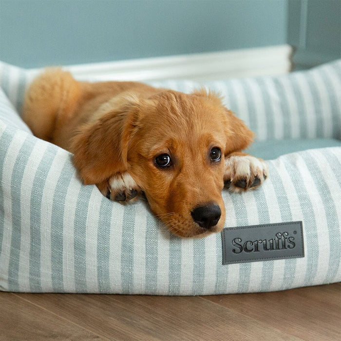 Scruffs Green Coastal Dog Bed