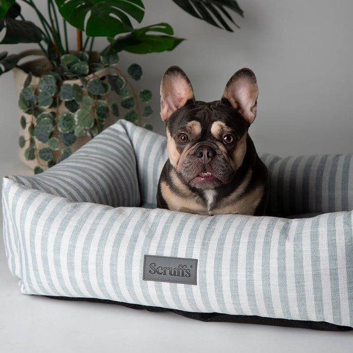 Scruffs Green Coastal Dog Bed