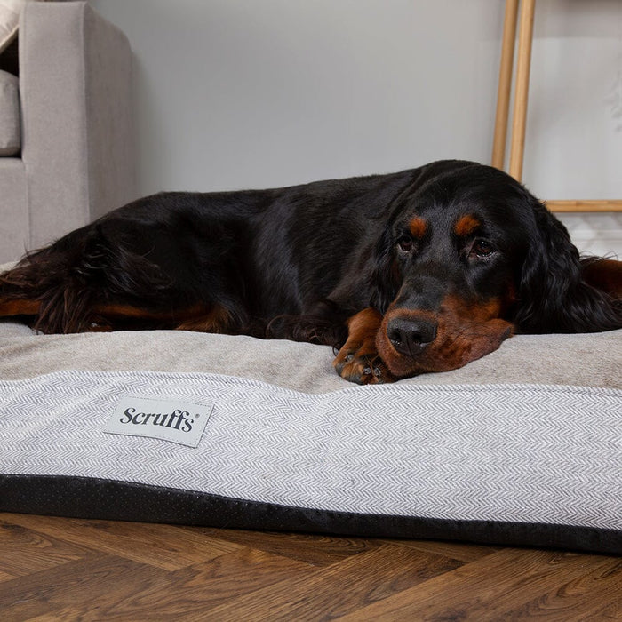 Scruffs Harvard Memory Foam Mattress - Pearl Grey