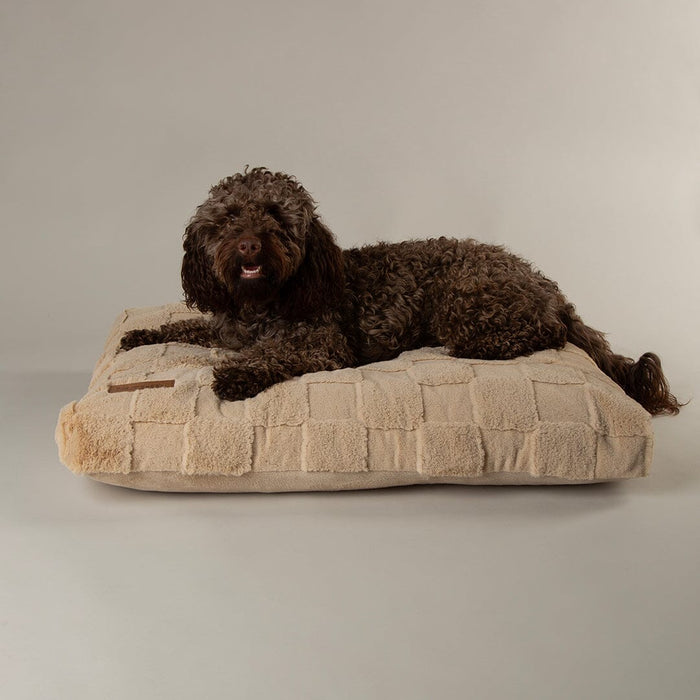 Scruffs Oxford Orthopaedic Mattress