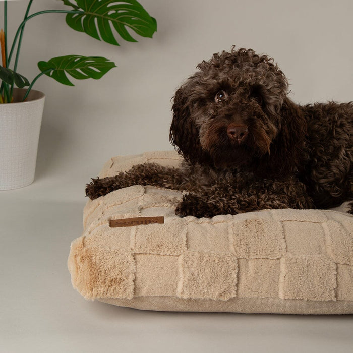 Scruffs Oxford Orthopaedic Mattress