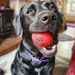 SportsPet Tough Bounce Rubber Ball - Doghouse