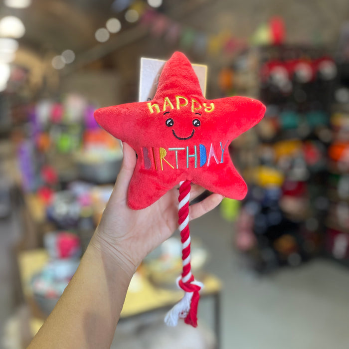 Star Balloon And Rope Toy