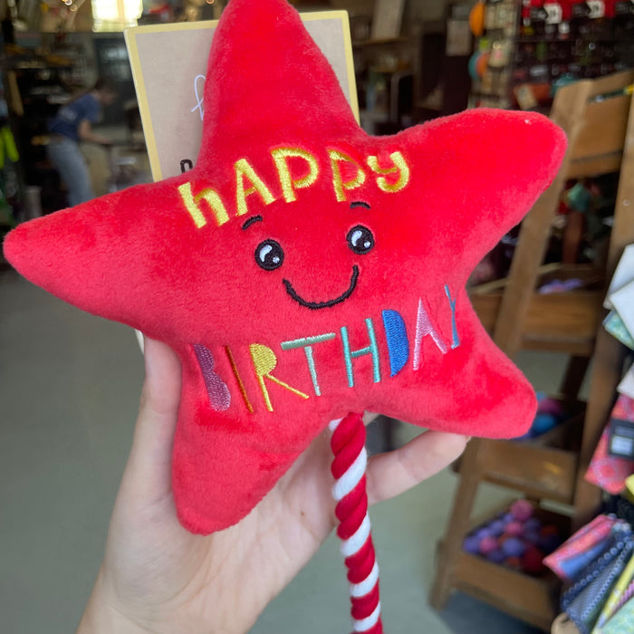 Star Balloon And Rope Toy