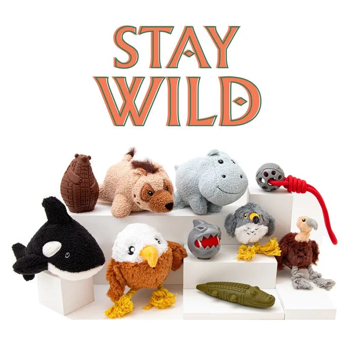 Stay Wild Plush Dog Toys - DOGHOUSE