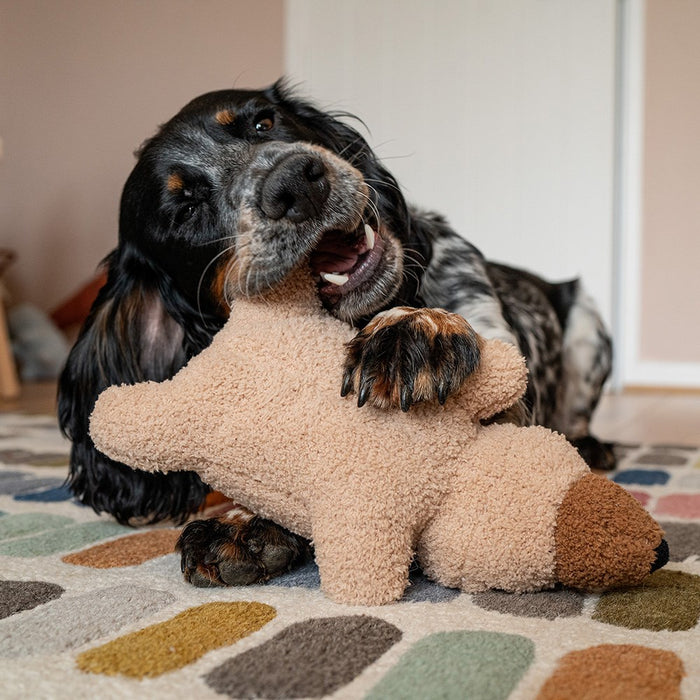Stay Wild Plush Dog Toys - DOGHOUSE