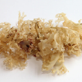 The Cornish Seaweed Company Organic Irish Moss 20g