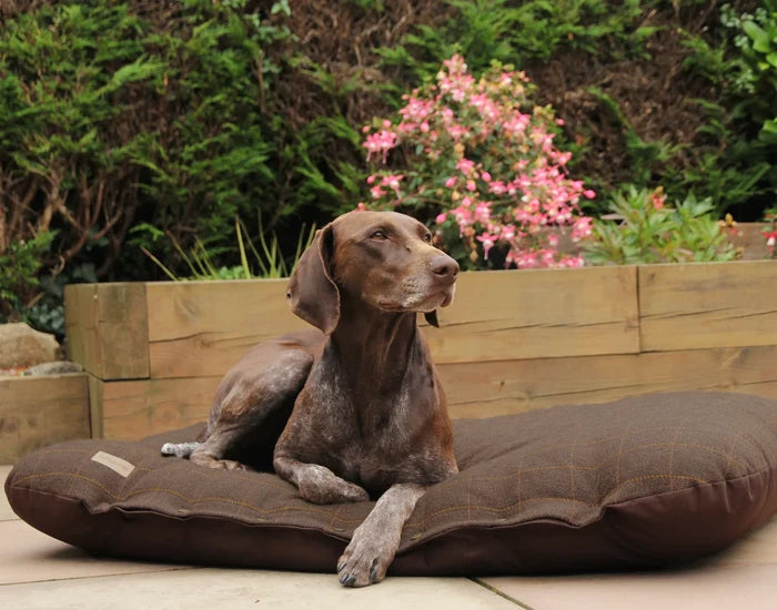 Tweed Pad Bed - DOGHOUSE
