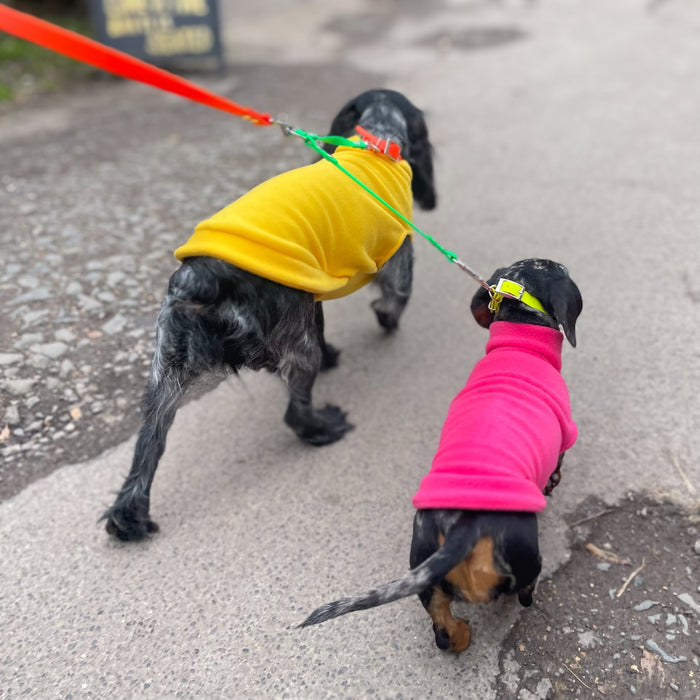 Waterproof Neon Vegan Leather Dog Splitter Lead - DOGHOUSE